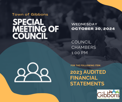 Special Meeting of Council